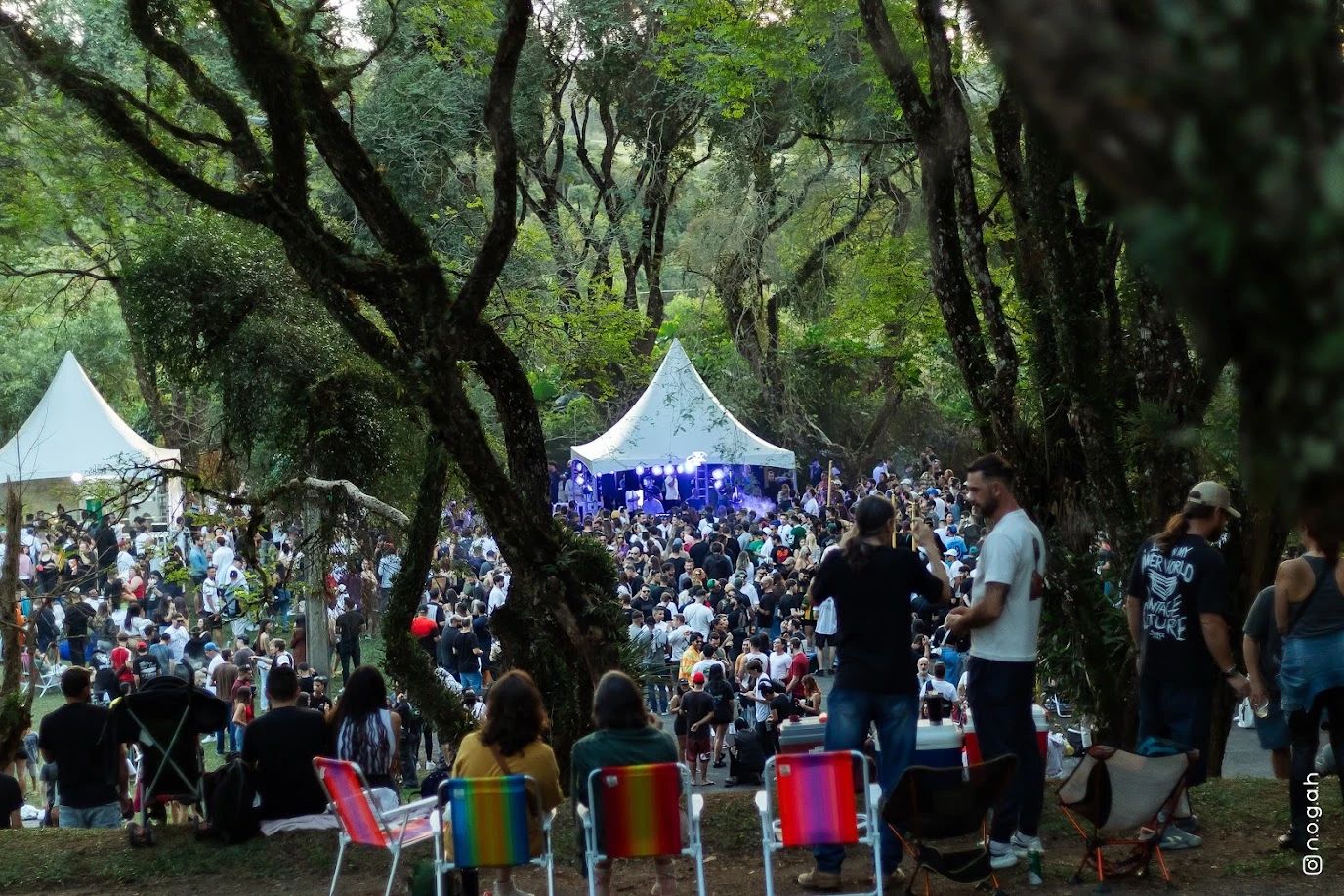Cura Sessions num parque de Curitiba: público entre as árvores diante da tenda dos DJs, com cadeiras de praia em primeiro plano